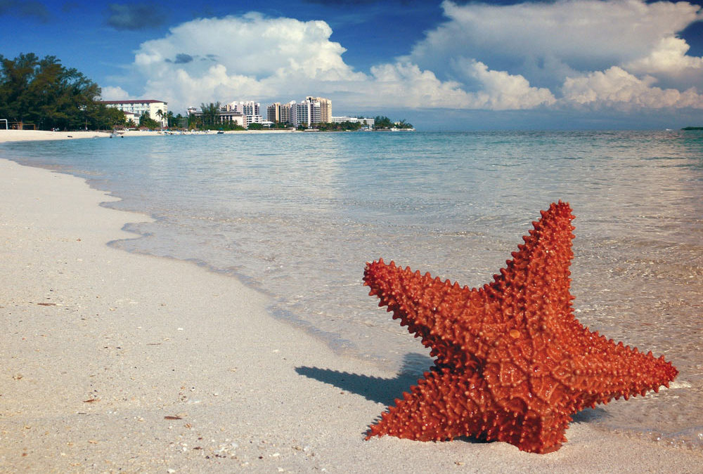 Top 4  Bahamas Beaches Close to Your Bahamas Luxury Home