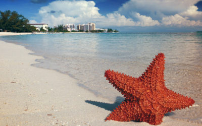 Top 4  Bahamas Beaches Close to Your Bahamas Luxury Home